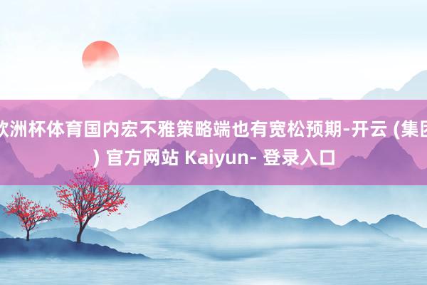欧洲杯体育国内宏不雅策略端也有宽松预期-开云 (集团) 官方网站 Kaiyun- 登录入口