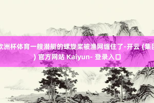 欧洲杯体育一艘潜艇的螺旋桨被渔网缠住了-开云 (集团) 官方网站 Kaiyun- 登录入口