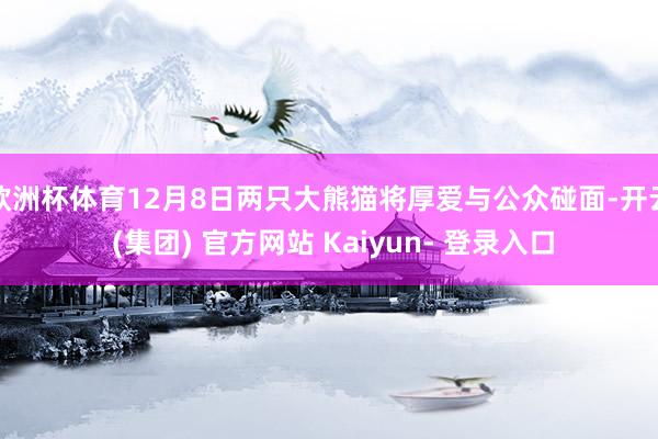 欧洲杯体育12月8日两只大熊猫将厚爱与公众碰面-开云 (集团) 官方网站 Kaiyun- 登录入口