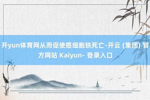 开yun体育网从而促使癌细胞铁死亡-开云 (集团) 官方网站 Kaiyun- 登录入口
