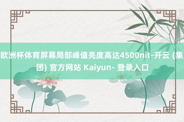 欧洲杯体育屏幕局部峰值亮度高达4500nit-开云 (集团) 官方网站 Kaiyun- 登录入口