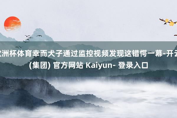 欧洲杯体育幸而犬子通过监控视频发现这错愕一幕-开云 (集团) 官方网站 Kaiyun- 登录入口