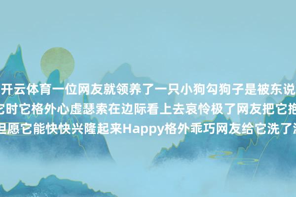 开云体育一位网友就领养了一只小狗勾狗子是被东说念主扬弃的第一次见到它时它格外心虚瑟索在边际看上去哀怜极了网友把它抱回家后取名叫Happy但愿它能快快兴隆起来Happy格外乖巧网友给它洗了澡澡还买了许多活命用品伸开剩余77%发誓要好好关注它网友说别看Happy是只混血但长得却格外可儿就连jiojio皆那么萌！就这么养了一段技能Happy放心豁达了起来小面貌也愈发的可儿尤其是一双趴趴耳十分招东说念主心