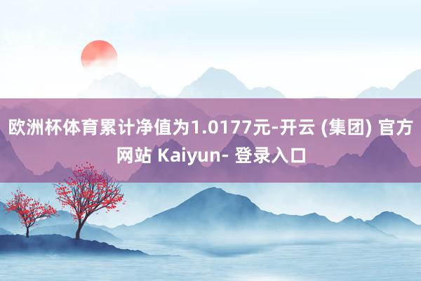 欧洲杯体育累计净值为1.0177元-开云 (集团) 官方网站 Kaiyun- 登录入口