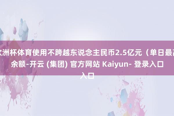 欧洲杯体育使用不跨越东说念主民币2.5亿元（单日最高余额-开云 (集团) 官方网站 Kaiyun- 登录入口
