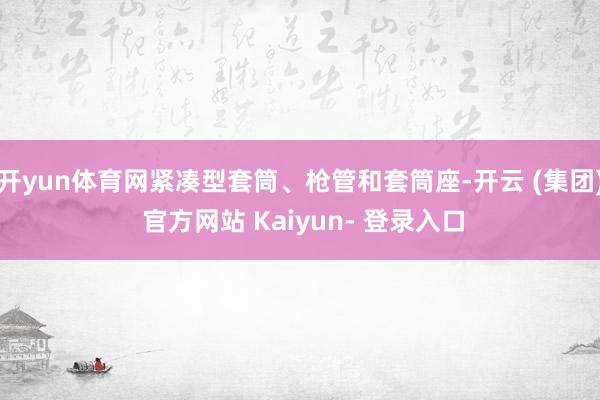开yun体育网紧凑型套筒、枪管和套筒座-开云 (集团) 官方网站 Kaiyun- 登录入口
